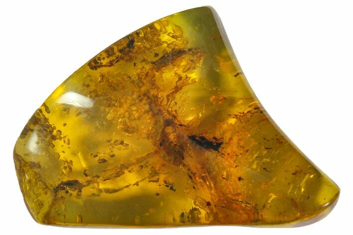 Polished Chiapas Amber ( g) - Mexico #114766